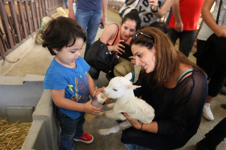 Dairy Khoury Farm Gates Opening